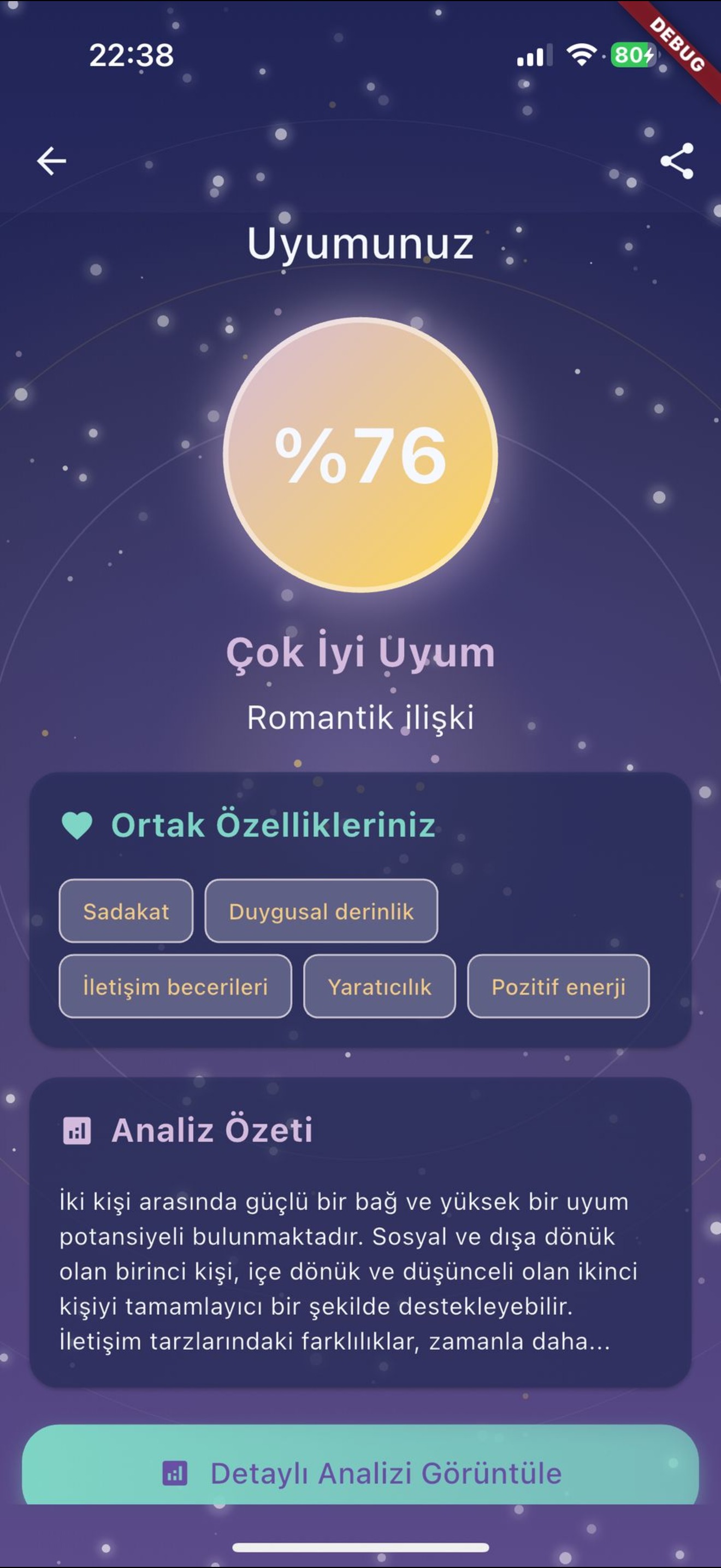 YouMe Analiz Özeti